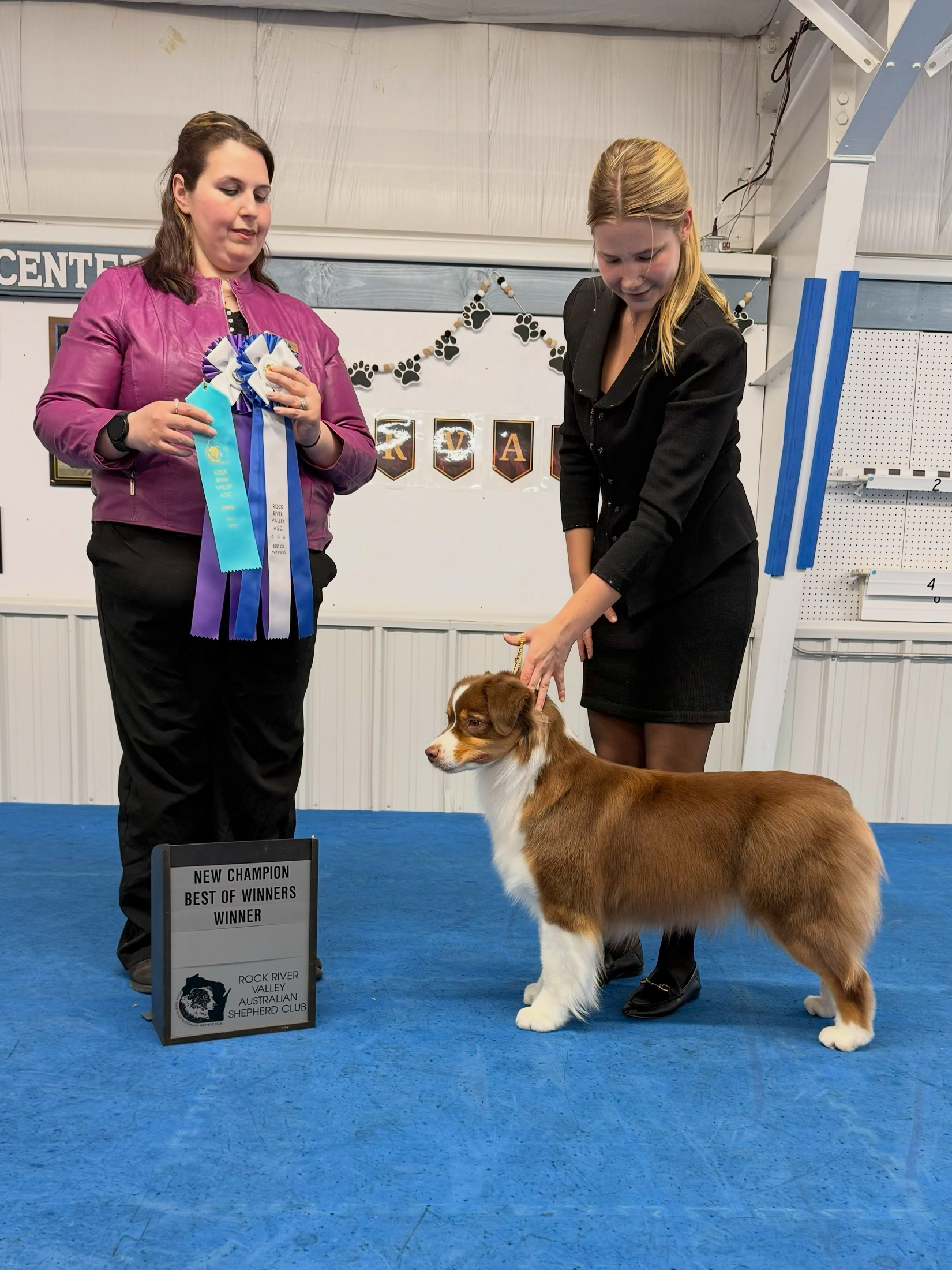 Cerise — ASCA new champion