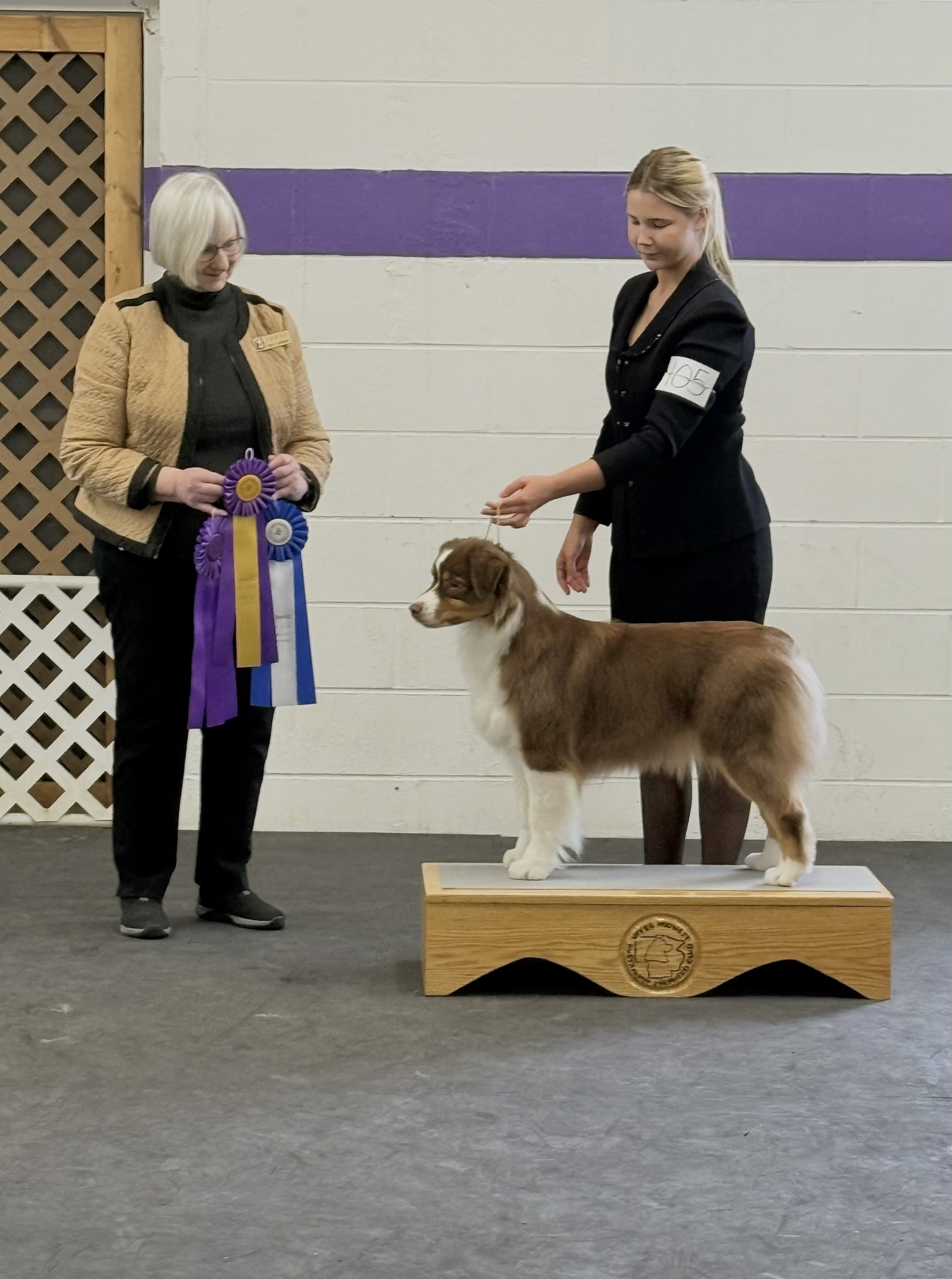 Cerise — ASCA WB, BOW, Best of Breed, Major Win